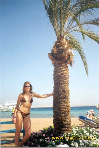 ���� � ������, ��������