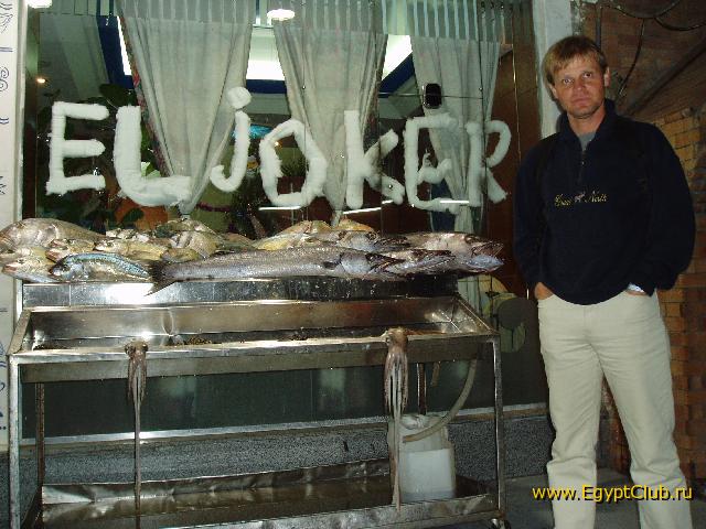 ������ ��������