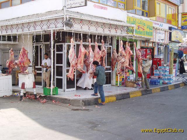 ������ �����