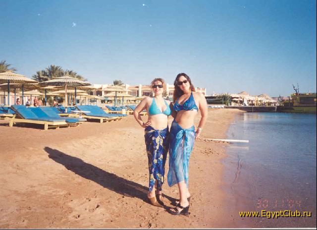 ���� �������