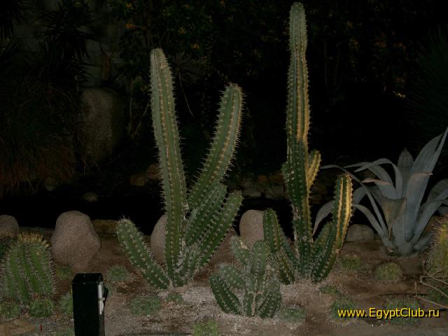 ������� �����