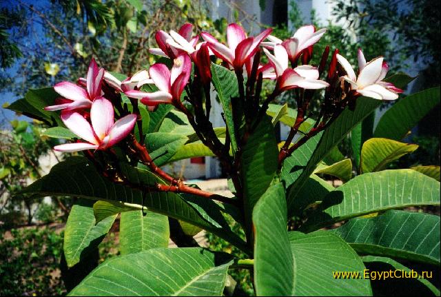 ����� �� ���������� �����