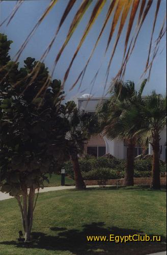 ���������� �����