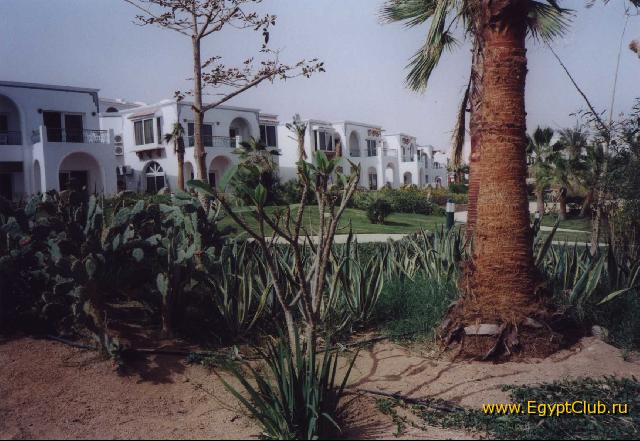 ���������� ����� ���2