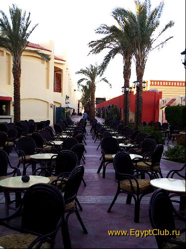 ������ ���� ���������