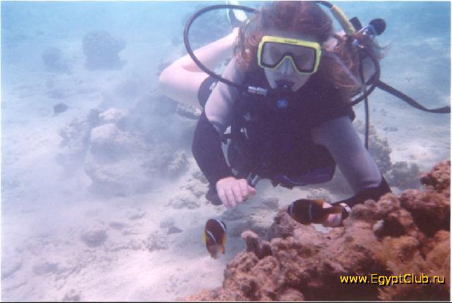 ���� � ������, ��������