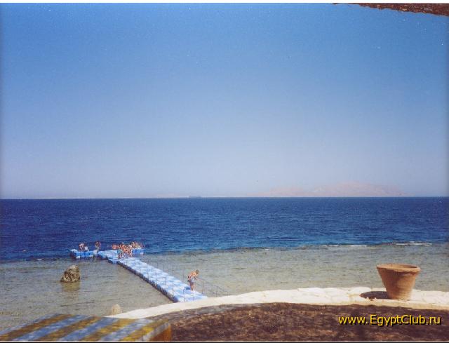 � �������