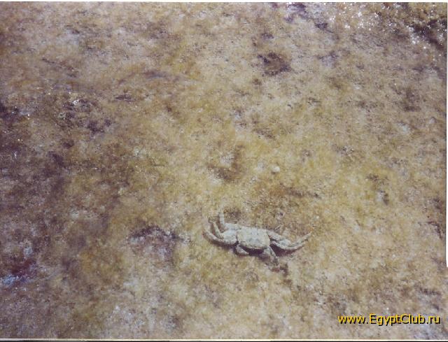 ����� � ������ ������ ���� �� ����� �����