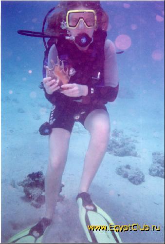 ���� � ������, ��������