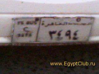 ������ ������