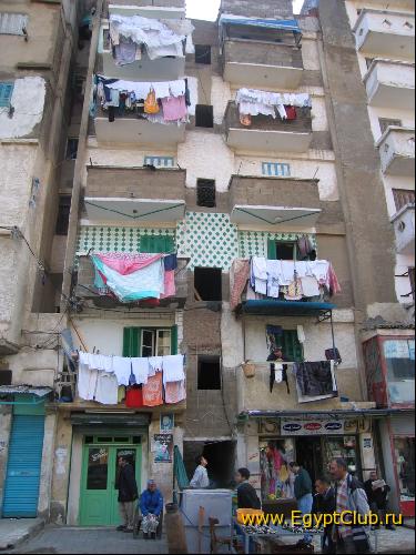 ����������� 2005