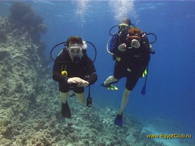 ����������3