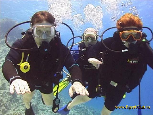 ����������4