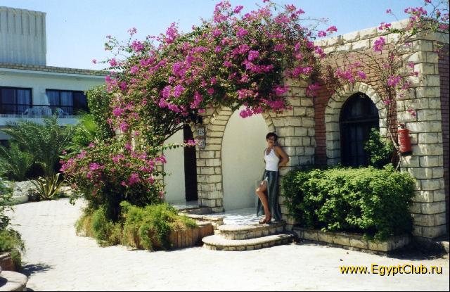 ��� ��� � ��������