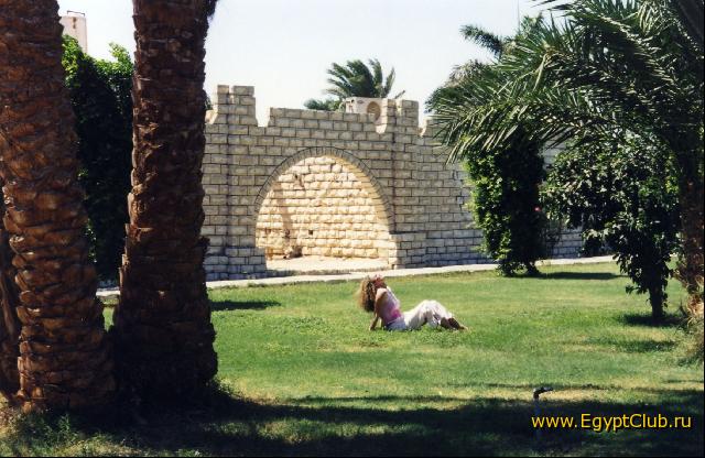 � ������������ ��������