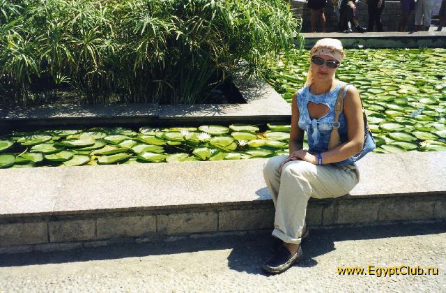 ����� ��������� �����