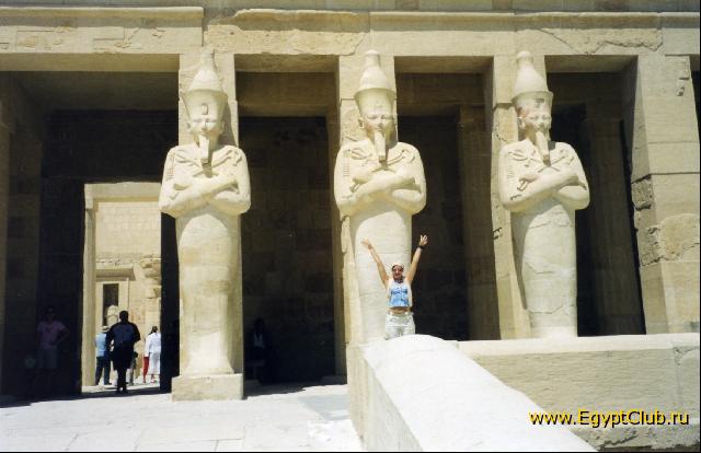 ���� ������ ���������