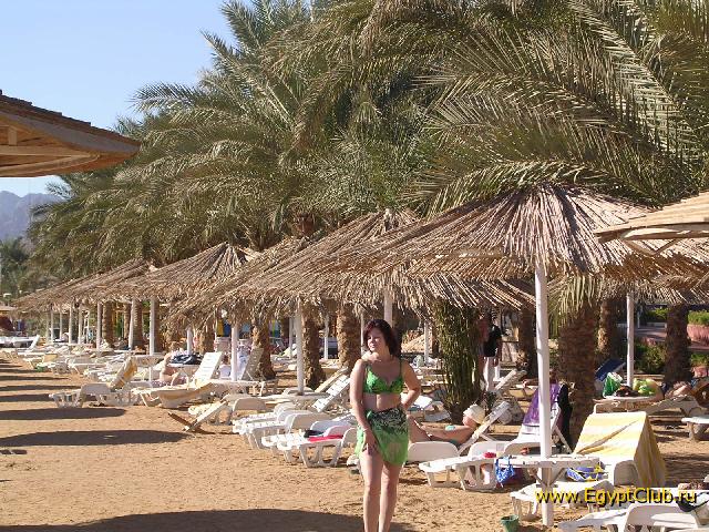 �� �����