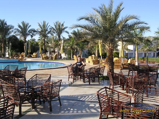 ������ ����