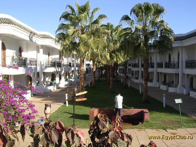 ��� �� 5-6 �������