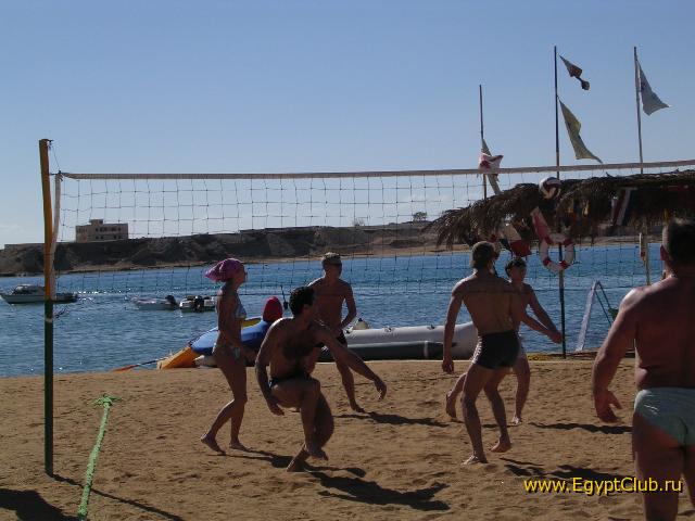 �������� - ���������