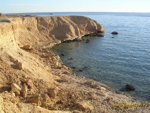 ���� ����� �����