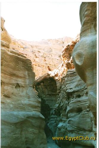 ������� ������