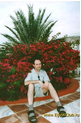 ��� ����� ������ � �����