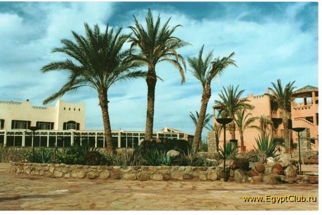 ��� ������