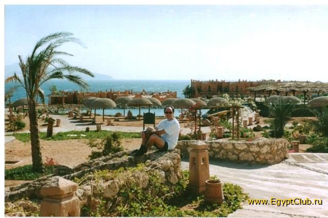 � ����� ����� ����...