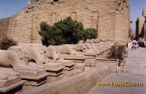 ���������� �����