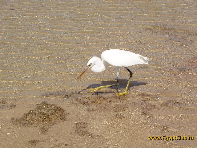 ����-�����