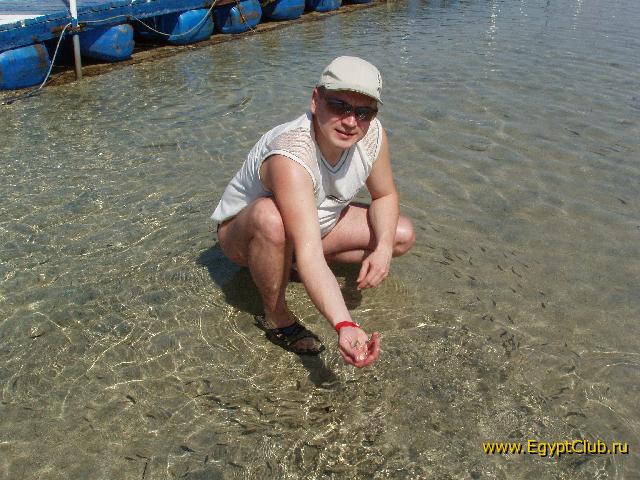 ����� ���������