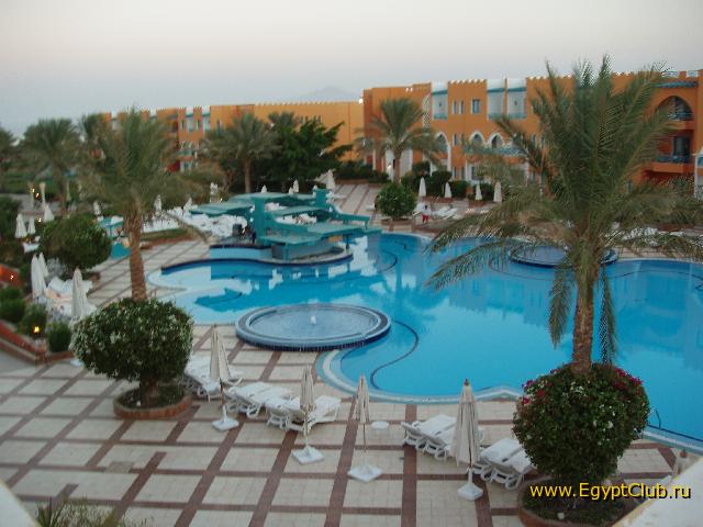 ����� ���� ������