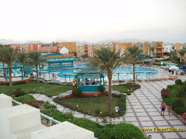 ����� ���� ������