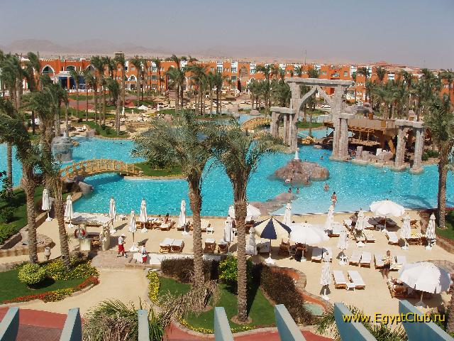 ����� ���� ������