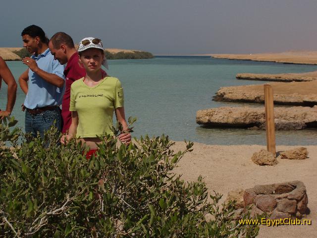 ��� �������