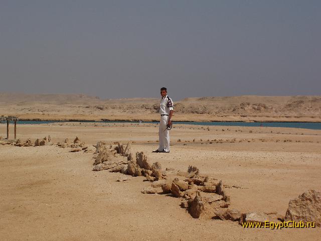 ��� �������