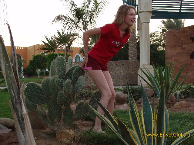 ����� ���� ������