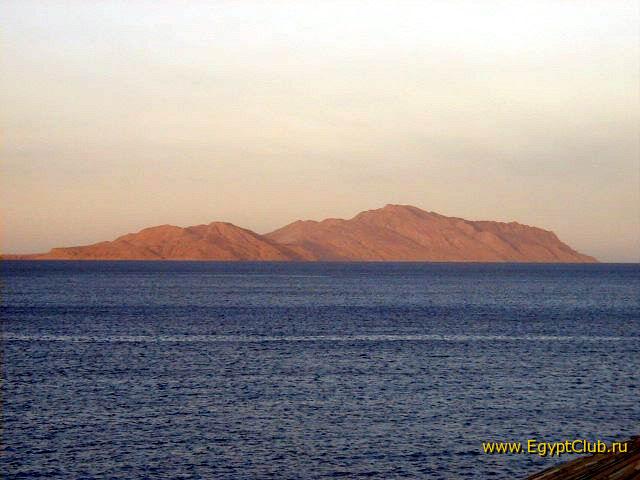 ������ �����