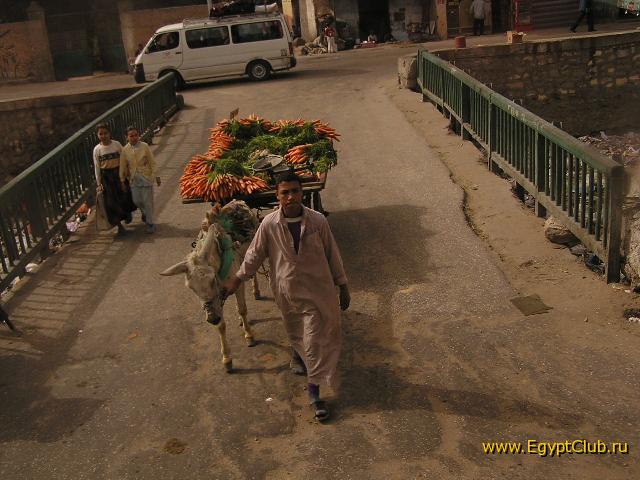 � ��������� �������, �� ���� ����� ����� �����.........