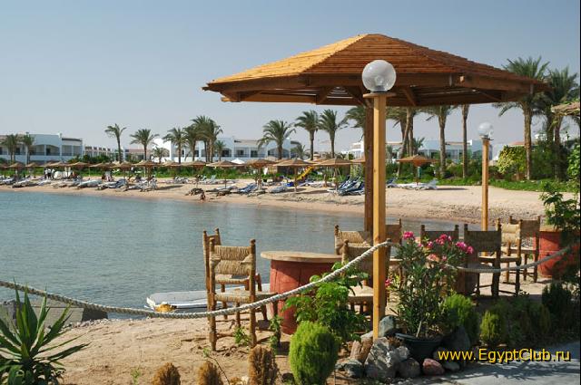 ���� �� �����