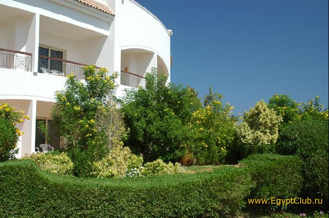 ����� �������� �����