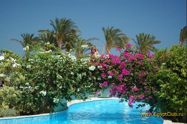 ������ ����� �������