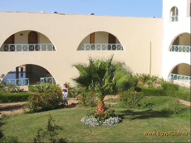 ������ ������