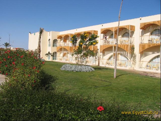 ����� ������