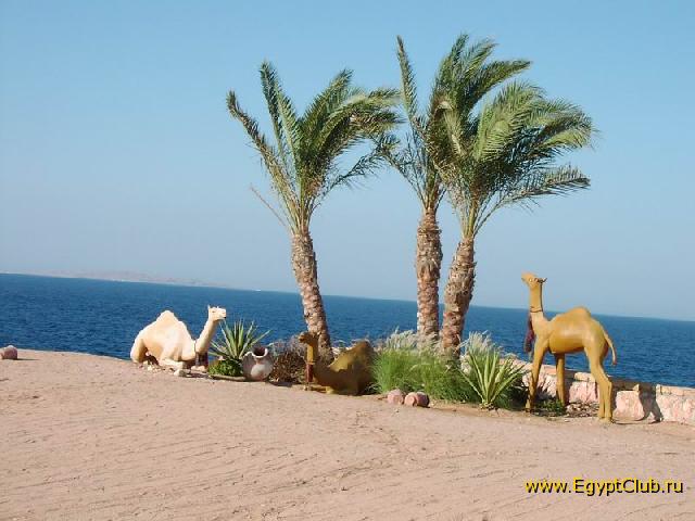 Oberoi Sahl Hasheesh