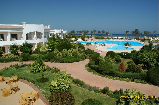 ����� ��� �����