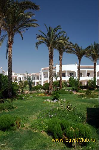 �� ���������� ����� ...