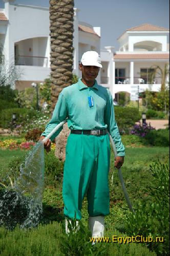 ������� ��������